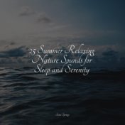 25 Summer Relaxing Nature Sounds for Sleep and Serenity