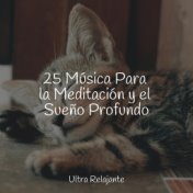 25 Música Para la Meditación y el Sueño Profundo