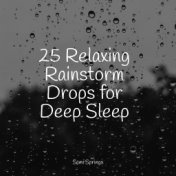 25 Relaxing Rainstorm Drops for Deep Sleep