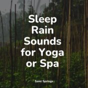 Sleep Rain Sounds for Yoga or Spa