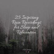 25 Inspiring Rain Recordings for Sleep and Relaxation