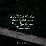 25 Pistas Música Ales Relajantes Para Un Sueño Tranquilo