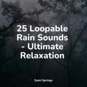 25 Loopable Rain Sounds - Ultimate Relaxation