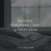 Sonidos Naturales | Spa y Serenidad