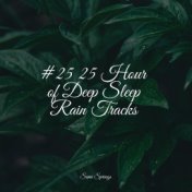 #25 25 Hour of Deep Sleep Rain Tracks