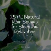 25 All Natural Rain Sounds for Sleep and Relaxation