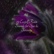 25 Exotic Rain Sounds for Spa & Serenity