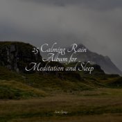 25 Calming Rain Album for Meditation and Sleep