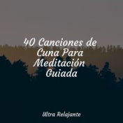 40 Canciones de Cuna Para Meditación Guiada