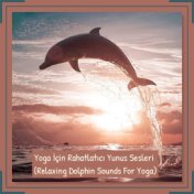 Yoga Için Rahatlatıcı Yunus Sesleri (Relaxing Dolphin Sounds for Yoga)