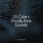 25 Calm & Steady Rain Sounds