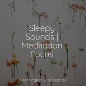 Sleepy Sounds | Meditation Focus