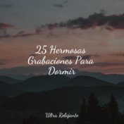 25 Hermosas Grabaciones Para Dormir