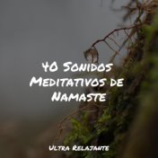 40 Sonidos Meditativos de Namaste