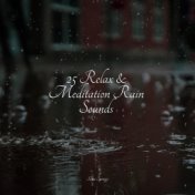 25 Relax & Meditation Rain Sounds