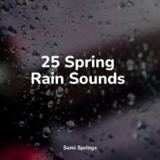 25 Spring Rain Sounds