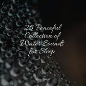 25 Peaceful Collection of Water Sounds for Sleep