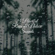 25 Peaceful Rain & Nature Sounds