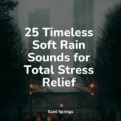 25 Timeless Soft Rain Sounds for Total Stress Relief