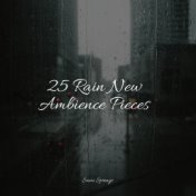 25 Rain New Ambience Pieces