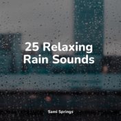 25 Relaxing Rain Sounds