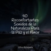 40 Reconfortantes Sonidos de la Naturaleza Para la Paz y el Amor