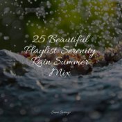25 Beautiful Playlist: Serenity Rain Summer Mix