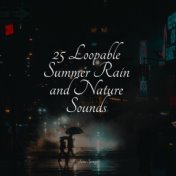25 Loopable Summer Rain and Nature Sounds