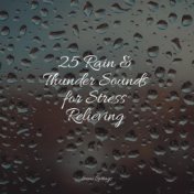 25 Rain & Thunder Sounds for Stress Relieving