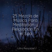 25 Mezcla de Música Para Meditación y Relajación En el Spa