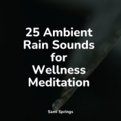 25 Ambient Rain Sounds for Wellness Meditation