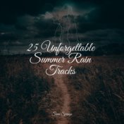 25 Unforgettable Summer Rain Tracks