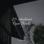 25 Ambient Rain Tracks