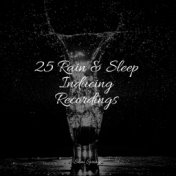 25 Rain & Sleep Inducing Recordings