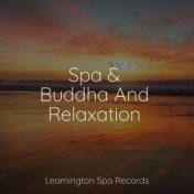 Spa & Buddha And Relaxation