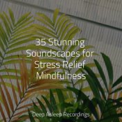 35 Stunning Soundscapes for Stress Relief Mindfulness