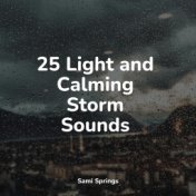 25 Light and Calming Storm Sounds