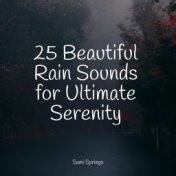 25 Beautiful Rain Sounds for Ultimate Serenity