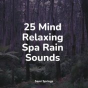 25 Mind Relaxing Spa Rain Sounds