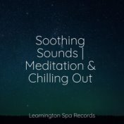 Soothing Sounds | Meditation & Chilling Out