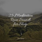 25 Meditation Rain Sounds for Sleep