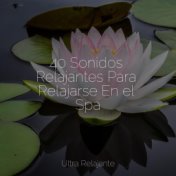 40 Sonidos Relajantes Para Relajarse En el Spa