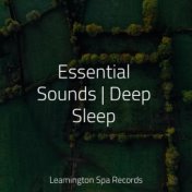 Essential Sounds | Deep Sleep