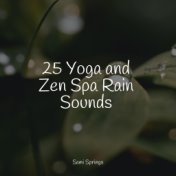 25 Yoga and Zen Spa Rain Sounds