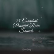 25 Essential Peaceful Rain Sounds