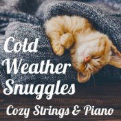 Cold Weather Snuggles: Cozy Strings & Piano