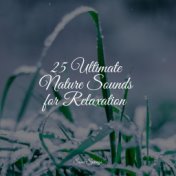 25 Ultimate Nature Sounds for Relaxation