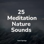 25 Meditation Nature Sounds