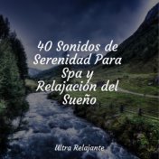 40 Sonidos de Serenidad Para Spa y Relajación del Sueño