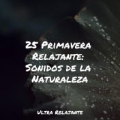 25 Primavera Relajante: Sonidos de la Naturaleza